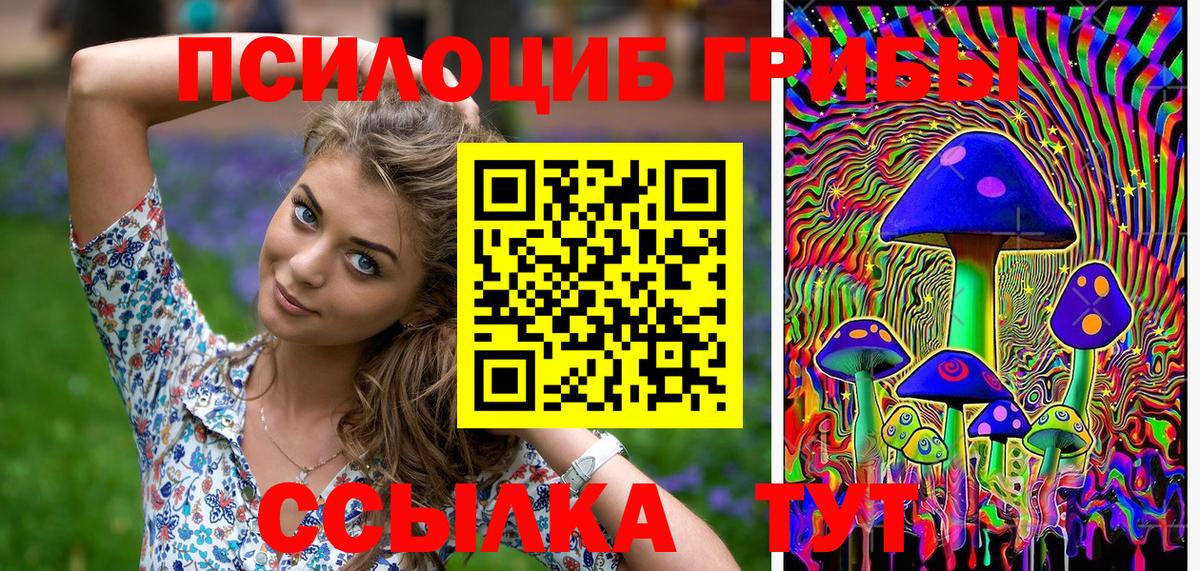 Галлюциногенные грибы Psilocybe  Вход с VPN  Краснодар  Галлюциногенные грибы мухоморы 