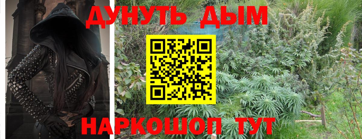 Шишки марихуана OG Kush  Бошки марихуана SATIVA & INDICA  Вход с VPN  Краснодар 